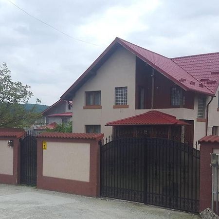 Vila De Vacanta Curtea de Argeş Buitenkant foto