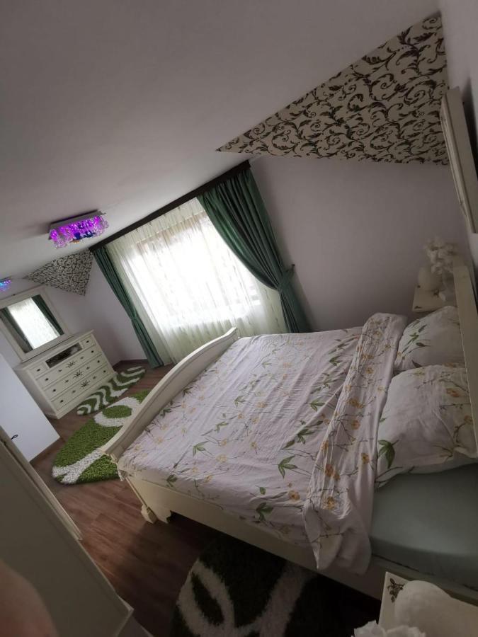 Vila De Vacanta Curtea de Argeş Buitenkant foto