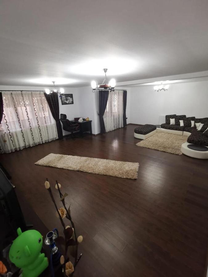 Vila De Vacanta Curtea de Argeş Buitenkant foto