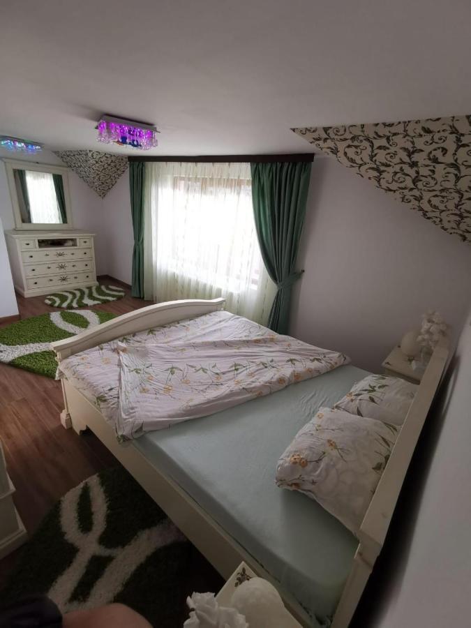 Vila De Vacanta Curtea de Argeş Buitenkant foto