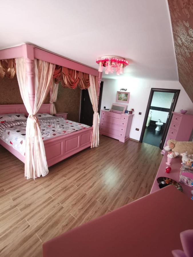 Vila De Vacanta Curtea de Argeş Buitenkant foto