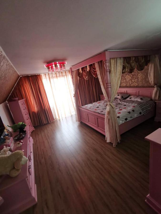 Vila De Vacanta Curtea de Argeş Buitenkant foto