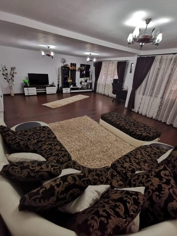 Vila De Vacanta Curtea de Argeş Buitenkant foto