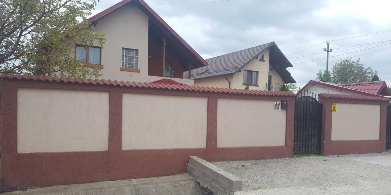 Vila De Vacanta Curtea de Argeş Buitenkant foto