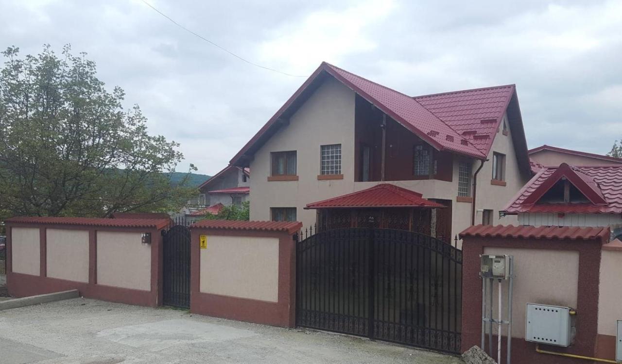 Vila De Vacanta Curtea de Argeş Buitenkant foto